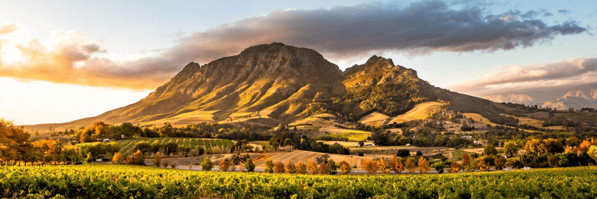 Cuisine, vin et faune en Afrique du Sud